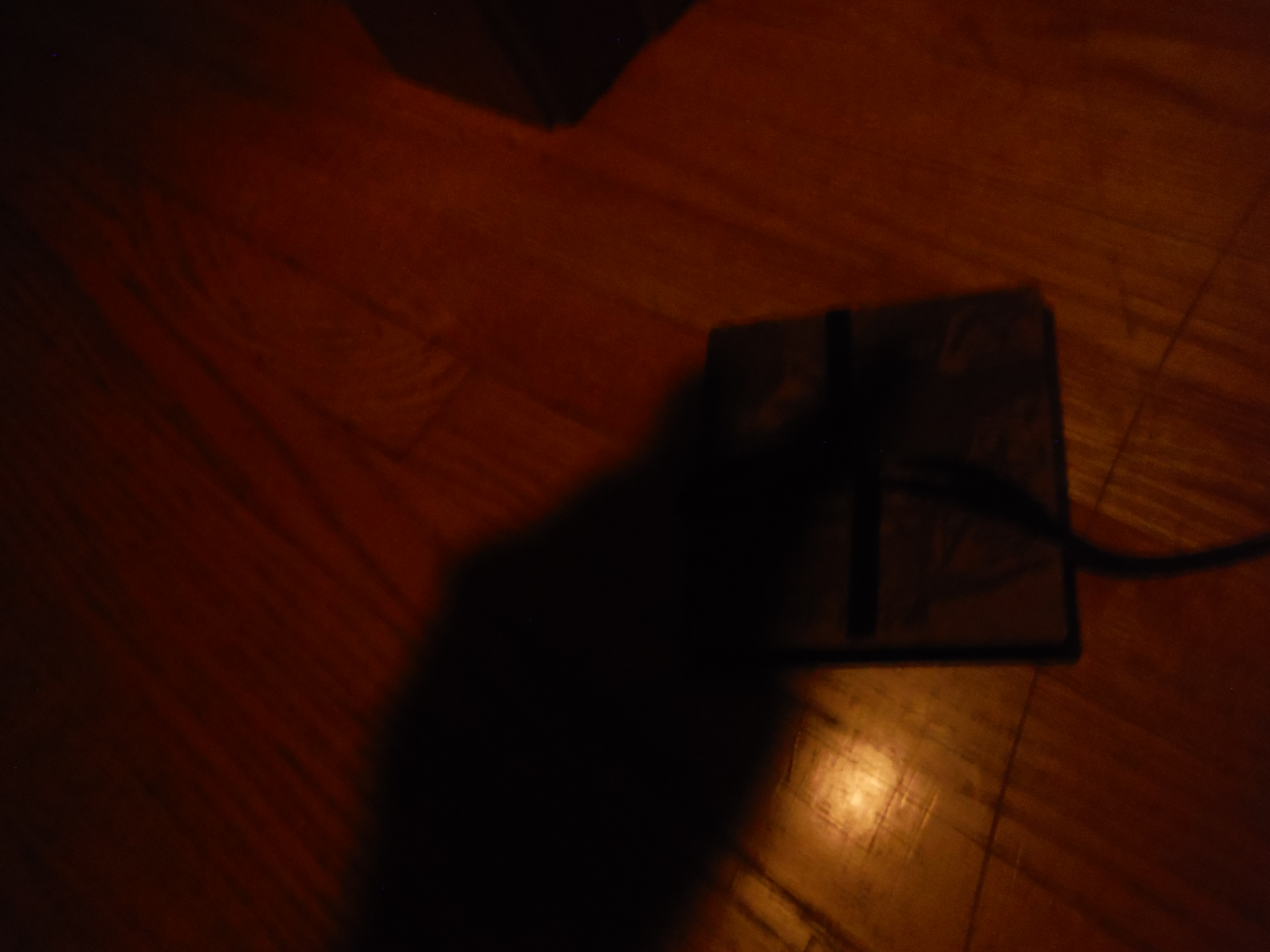 Ribbon